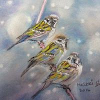 Terveisiä rannikkomaisemista -näyttely