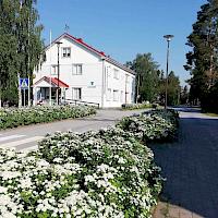Lesti-viikko 29.6.-5.7.2026