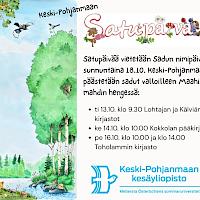 Satupäivä