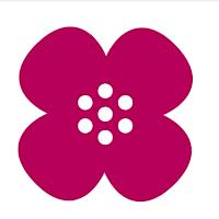 Onko sinulla tai läheiselläsi diagnosoitu silmänpohjan rappeuma tai jokin muu näkövamma?